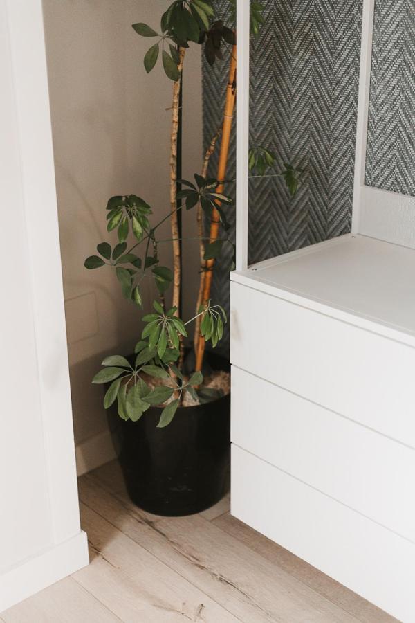 Mk77 Leon - Atiko Apartment Ngoại thất bức ảnh